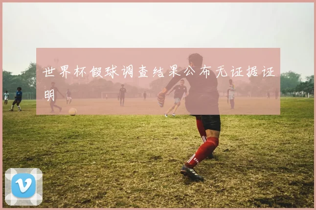 世界杯假球调查结果公布无证据证明